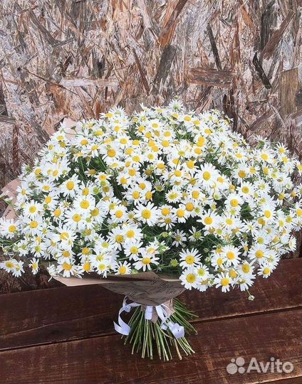 Букеты. Доставка ромашек
