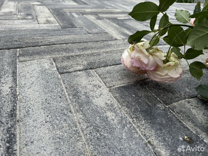 Тротуарная плитка # Визуализация бесплатно