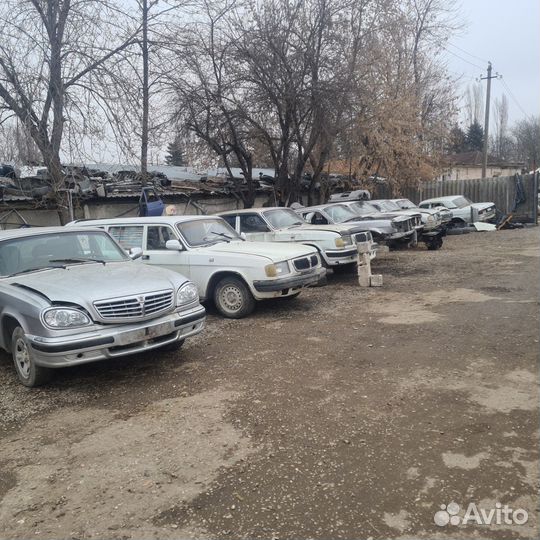 Разбор волги