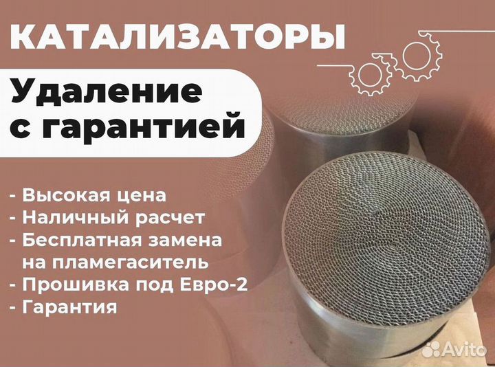 Удаление катализатора бесплатно/ чип тюнинг евро 2