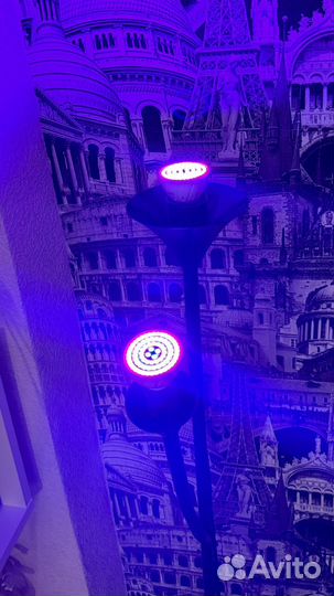 Фитолампа для растений е27 и е14