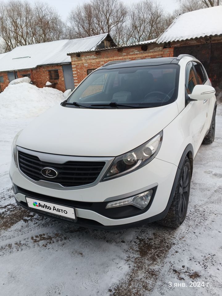 Kia Sportage: фото владельца