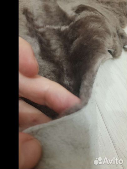 Шкуры овчина (коврик меховой)