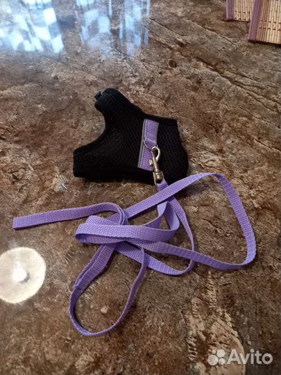 Поводок и шлейка для кошек