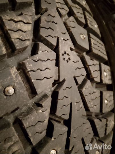 Maxxis ArcticTrekker NP3 R15