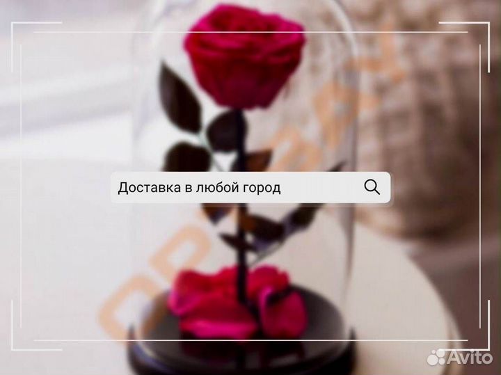 Роза в колбе