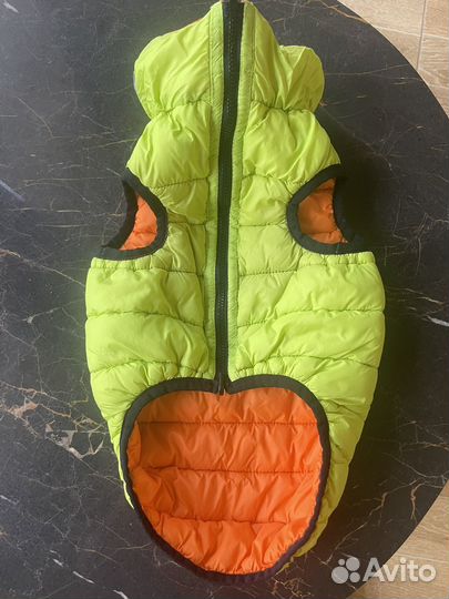 Куртки для собак, воротник