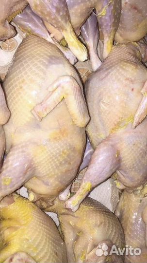 Мясо перепелов