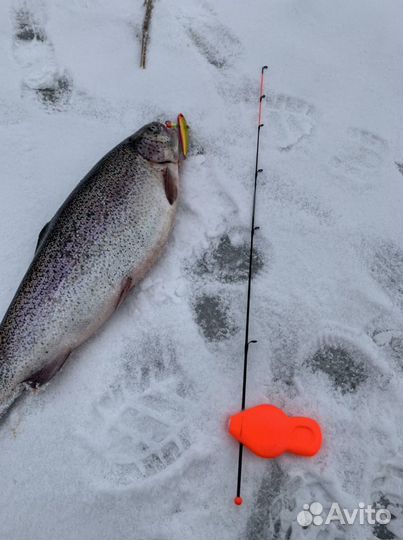 Удочка для ловли форели со льда fishman