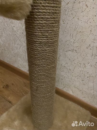 Когтеточка