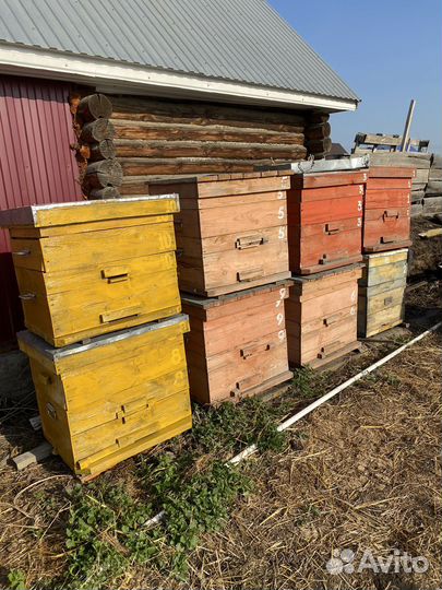 Улей для пчел бу