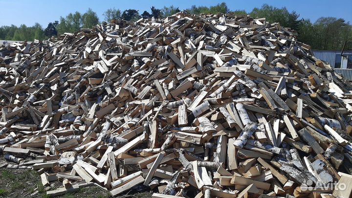 Дрова осина