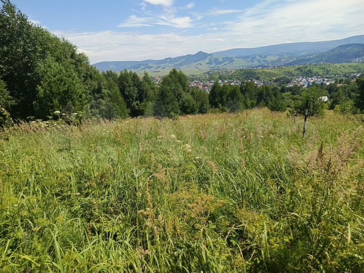 Участок 5,9 сот. (СНТ, ДНП)