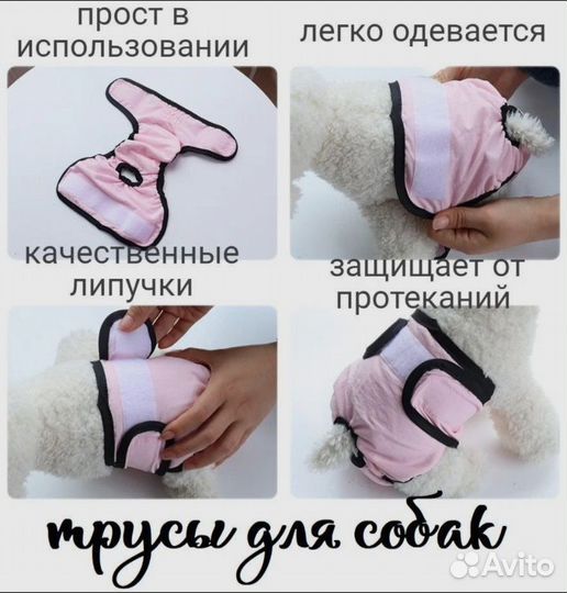 Трусы для собак, многоразовые