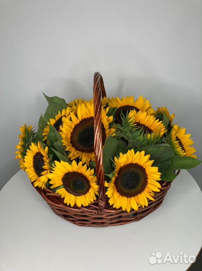 Подсолнухи