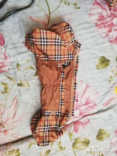 Одежда на таксу