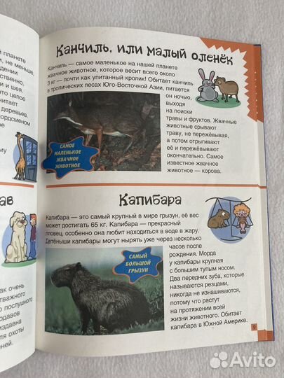 Книга Животные 150 фактов