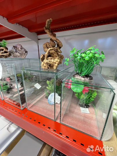 Аквариумы для рыбок