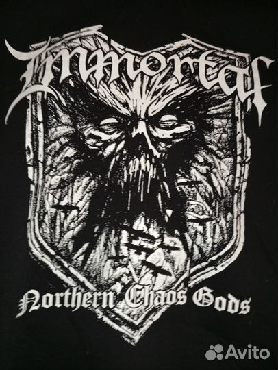 Толстовка immortal