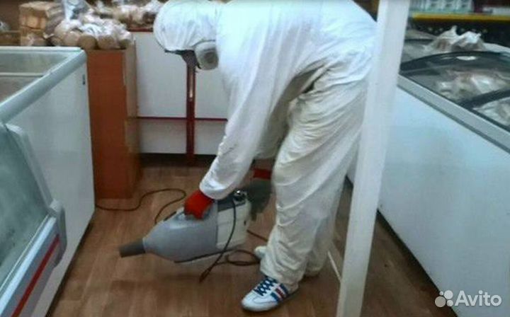 Средство для Уничтожения клопов тараканов плесени клещей