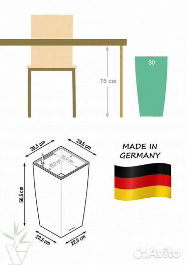 Замиокулькас Замиелистный в сером кашпо