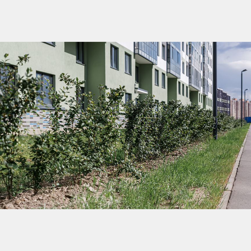 Квартира-студия, 24,7 м², 2/15 эт.