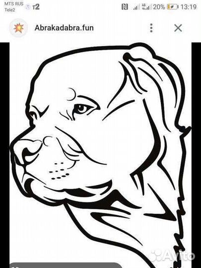 Алабаи вязка