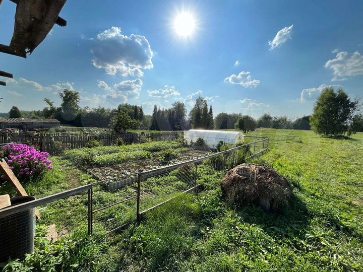 Участок 25 га (ИЖС)