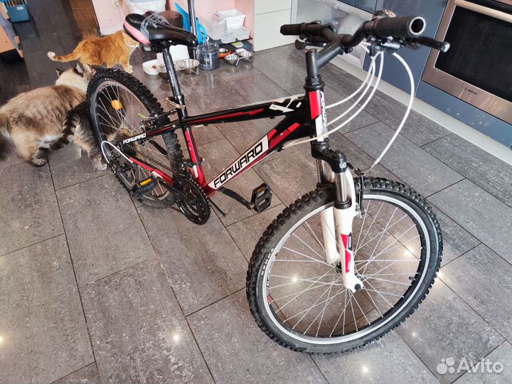 Велосипед подростковый Forward