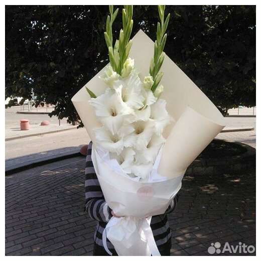 Букет из гладиолусов на 1 сентября