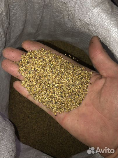 Семена люцерны,чистка 90