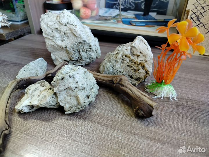 Декор для аквариума