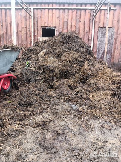 Навоз коровяк