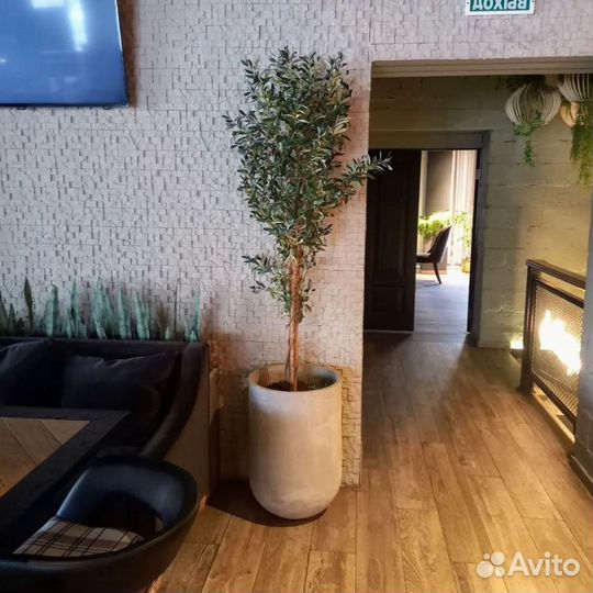 Кашпо, Вазоны, Горшки под заказ из бетона