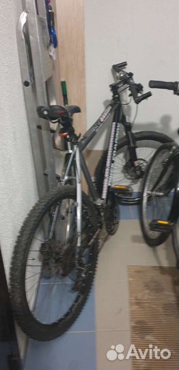 Прокат велосипедов