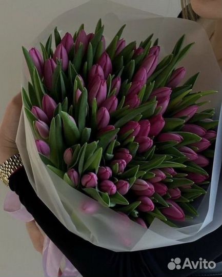 Тюльпаны к 8 марта опт и розница