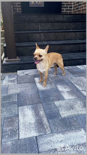 Тротуарная плитка и поребрик от 120 м2