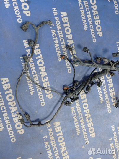 Проводка подкапотная Hyundai Sonata Nf седан G4KD