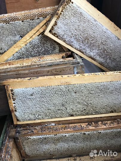 Мёд и продукты пчеловодства Месягутово