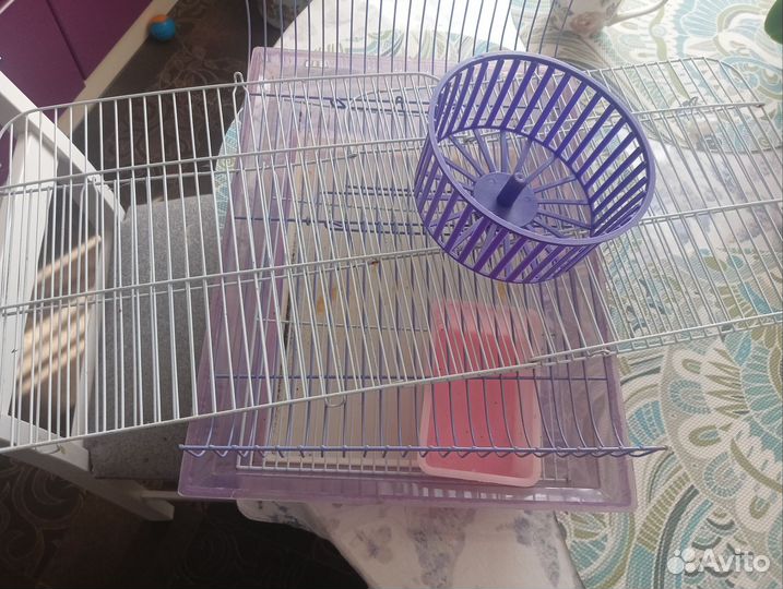 Клетка для грызунов бесплатно отдам