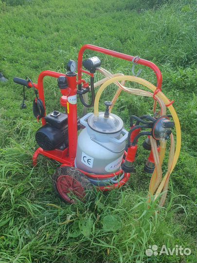 Доильный аппарат для коров бу