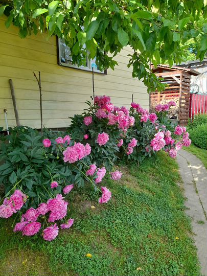 Дача 96 м² на участке 7 сот.