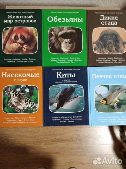 Книги серии 