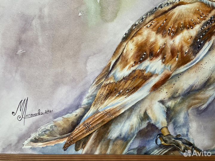 Картина акварелью «Зимняя сипуха»