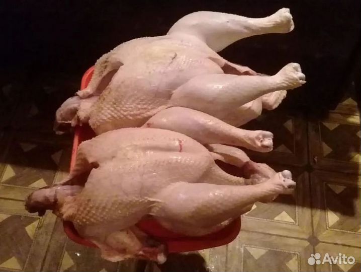 Мясо индейки