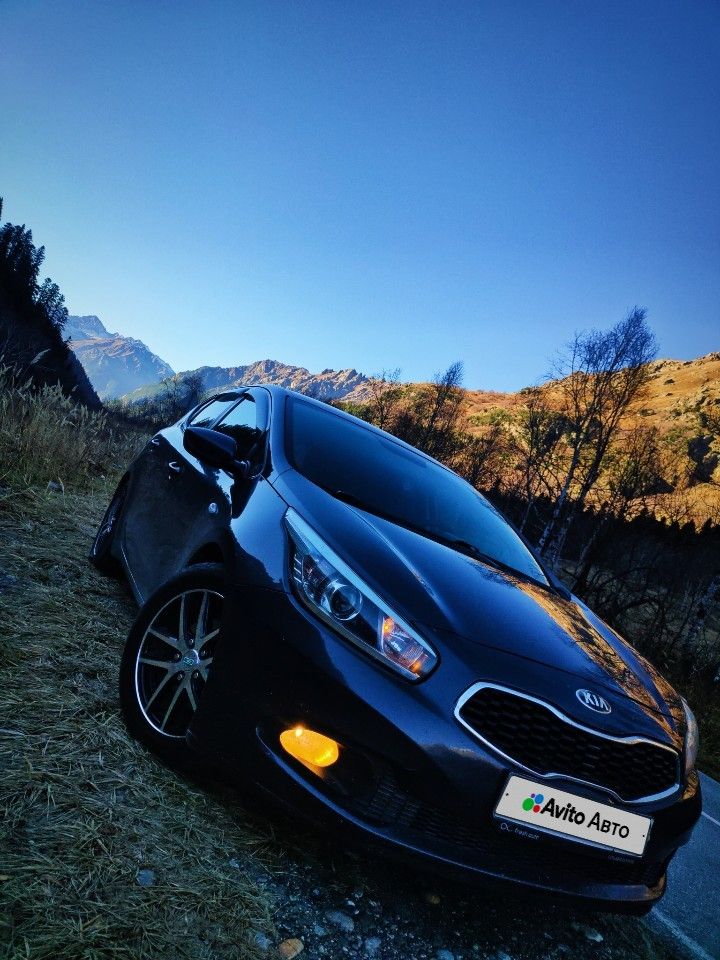Kia Ceed: фото владельца