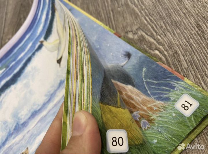 Новая книга «Трям Здравствуйте. И другие сказки»