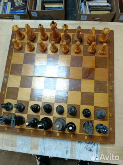 Шахматы СССР