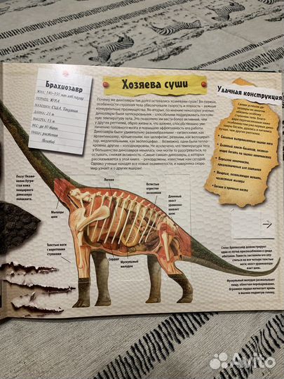 Книги динозавры.Короли мезозоя, Роберт Маш