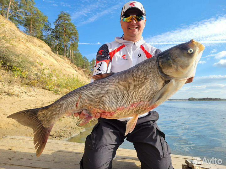 Подбор, покупка и доставка рыболовных снастей